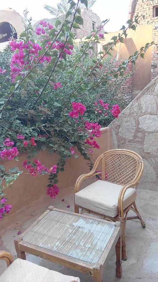 Eskaleh Eco-Lodge Abu Simbel Bagian luar foto