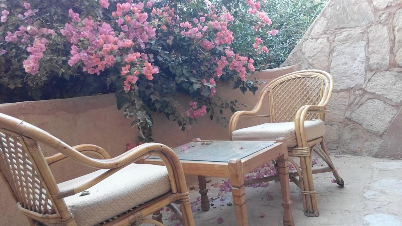 Eskaleh Eco-Lodge Abu Simbel Bagian luar foto