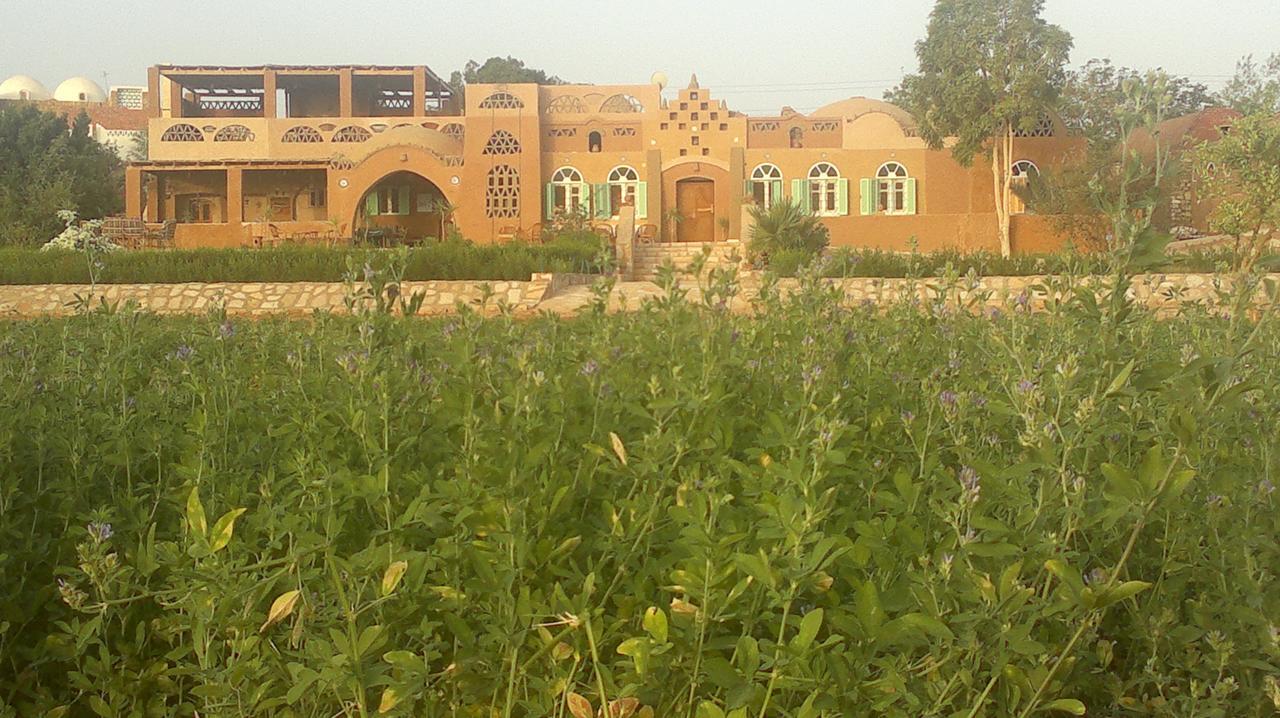 Eskaleh Eco-Lodge Abu Simbel Bagian luar foto